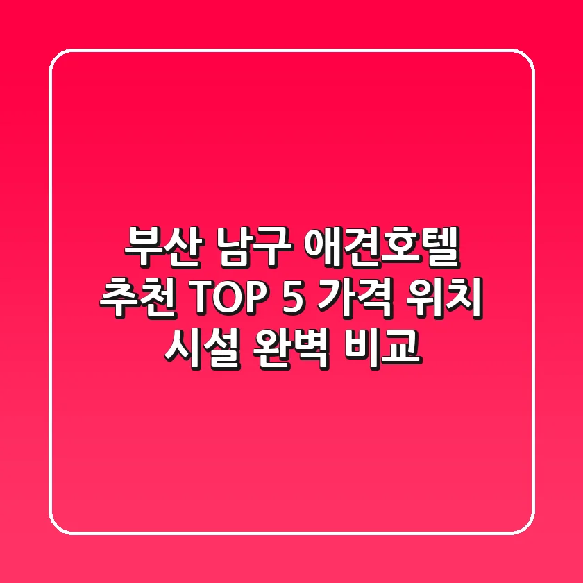 부산 남구 애견호텔 추천 TOP 5 - 가격, 위치, 시설 완벽 비교