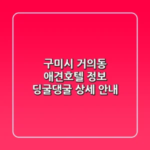 구미시 거의동 애견호텔 정보 - 딩굴댕굴 상세 안내