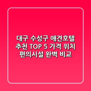 대구 수성구 애견호텔 추천 TOP 5 - 가격, 위치, 편의시설 완벽 비교