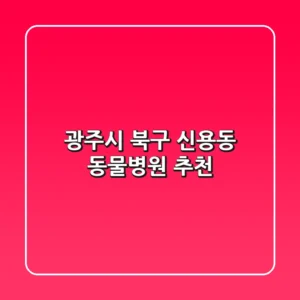 광주시 북구 신용동 동물병원 추천