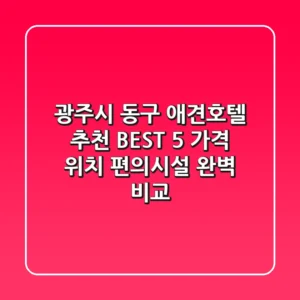 광주시 동구 애견호텔 추천 BEST 5 - 가격, 위치, 편의시설 완벽 비교