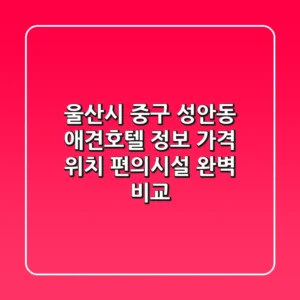 울산시 중구 성안동 애견호텔 정보 - 가격, 위치, 편의시설 완벽 비교