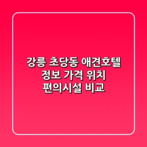 강릉 초당동 애견호텔 정보 - 가격, 위치, 편의시설 비교