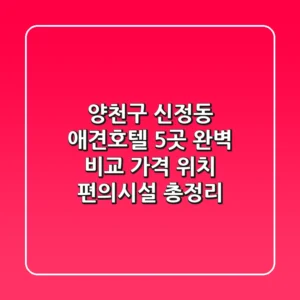 양천구 신정동 애견호텔 5곳 완벽 비교: 가격, 위치, 편의시설 총정리