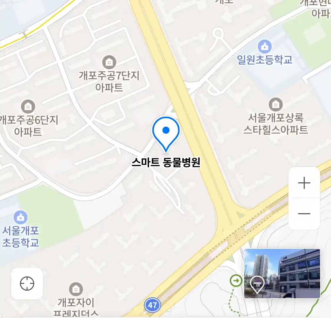 스마트 동물병원