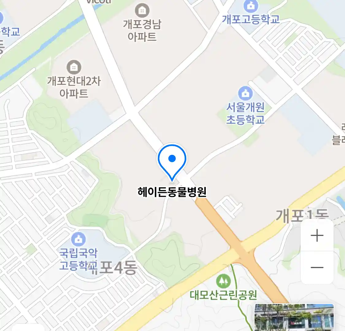 헤이든동물병원