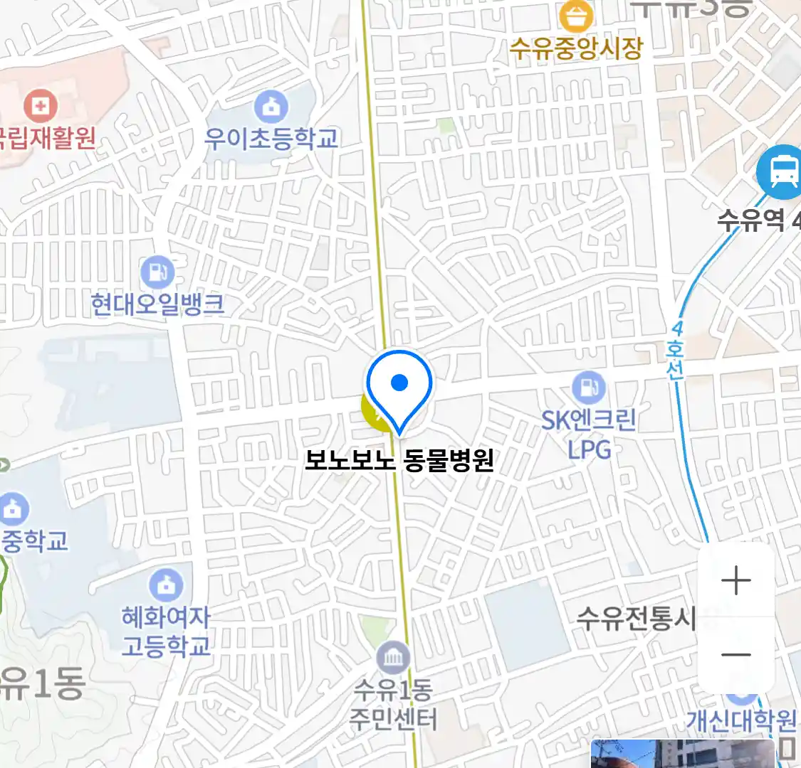 보노보노 동물병원
