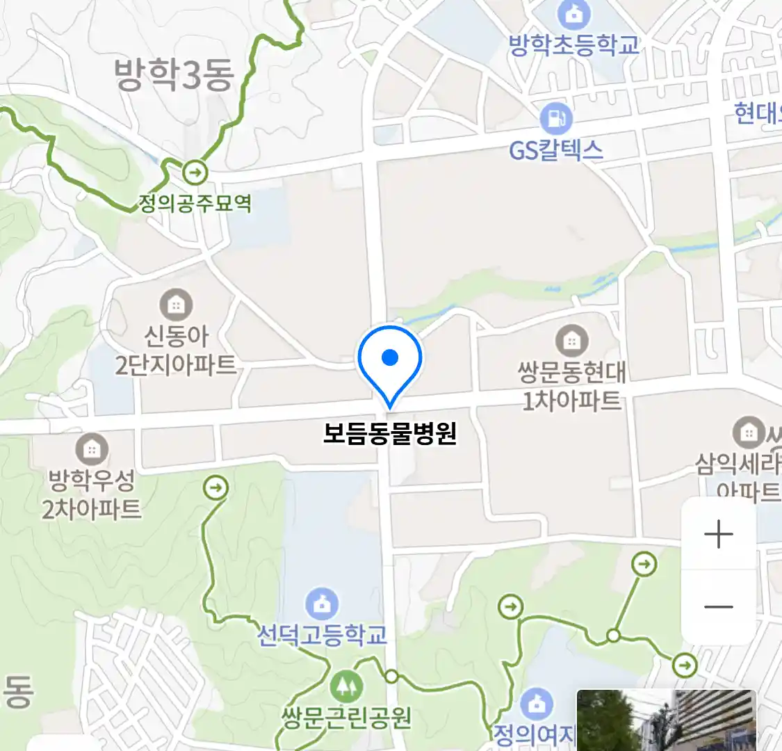 보듬동물병원