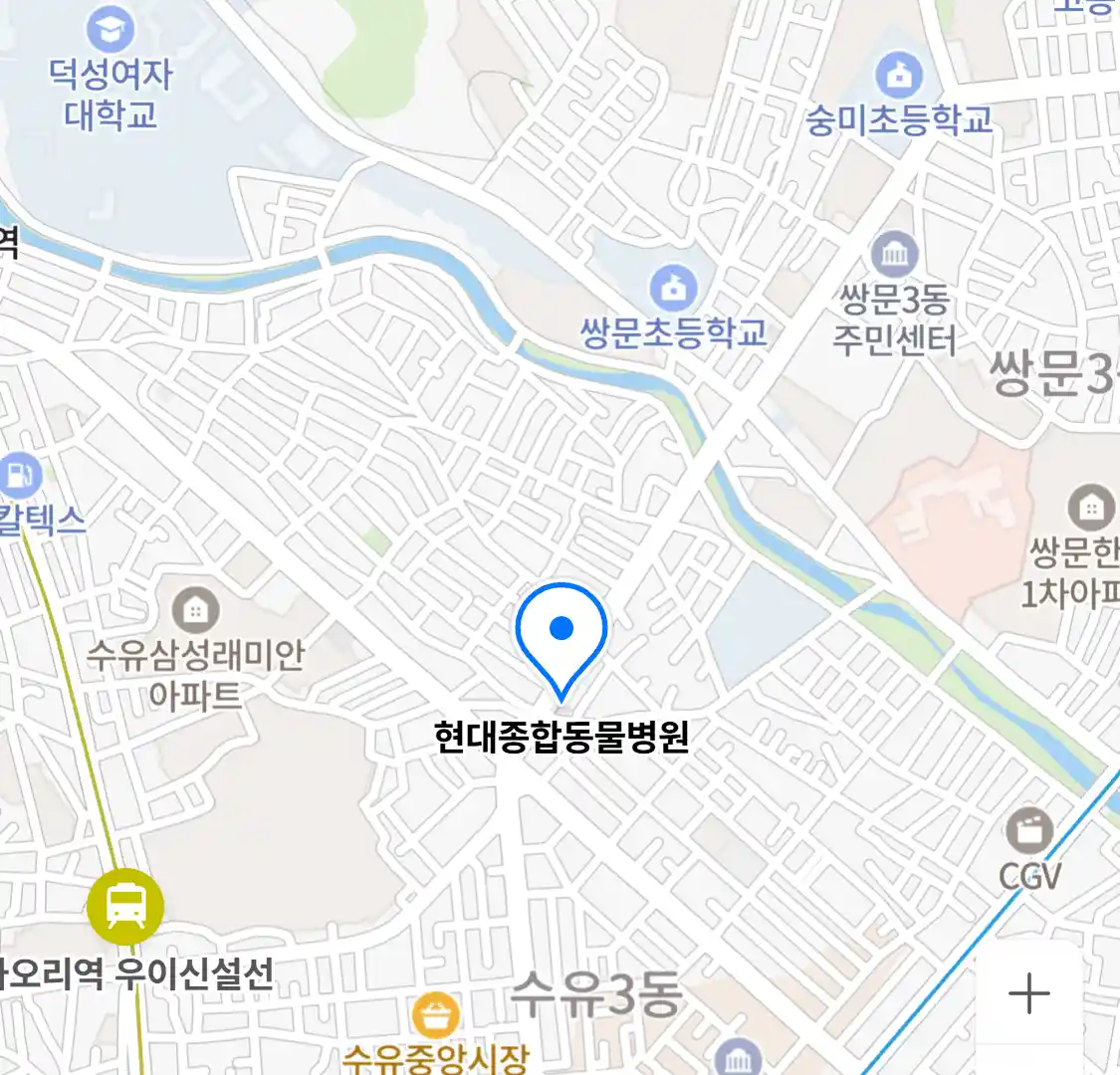 현대종합동물병원