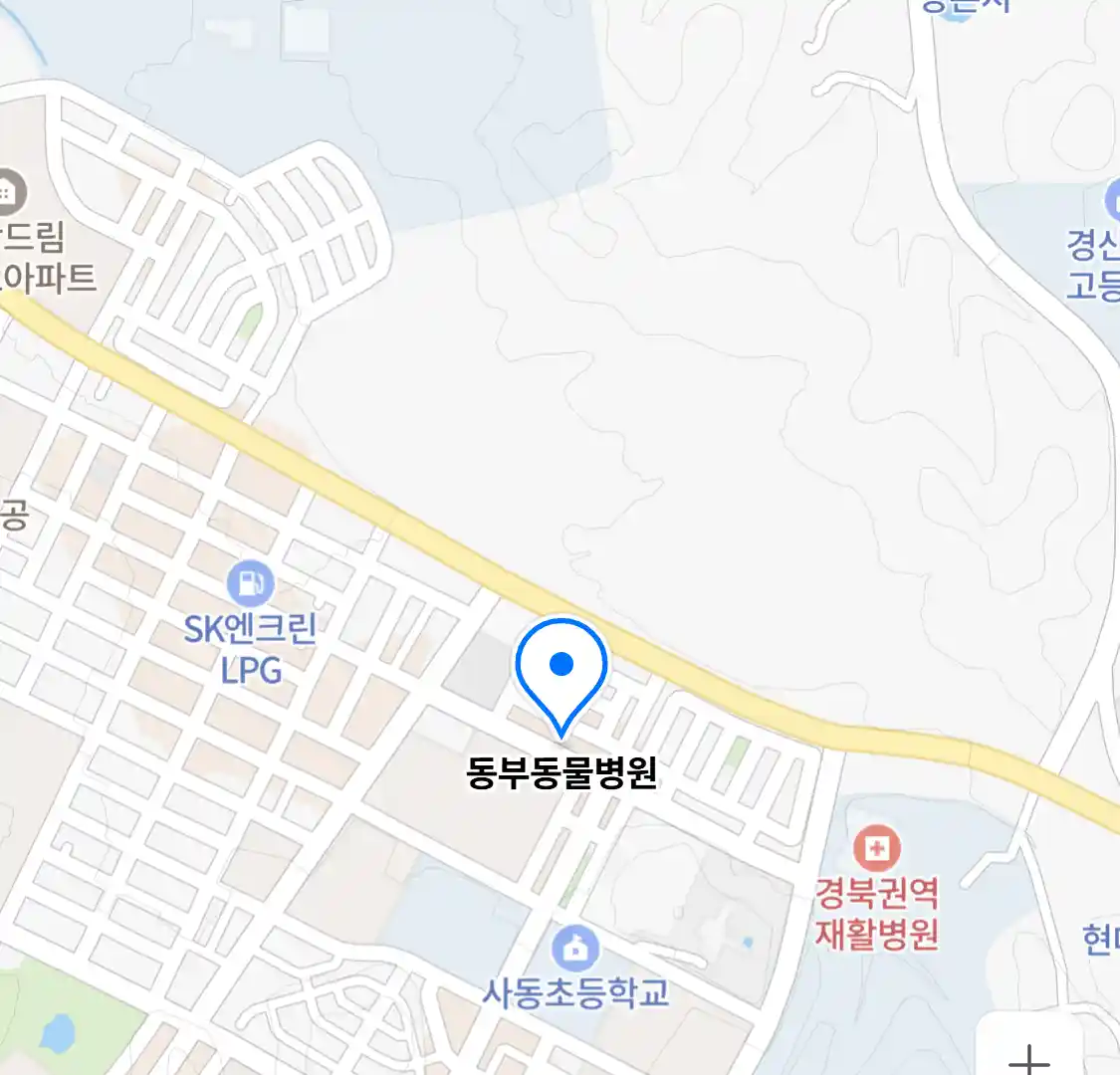 동부동물병원
