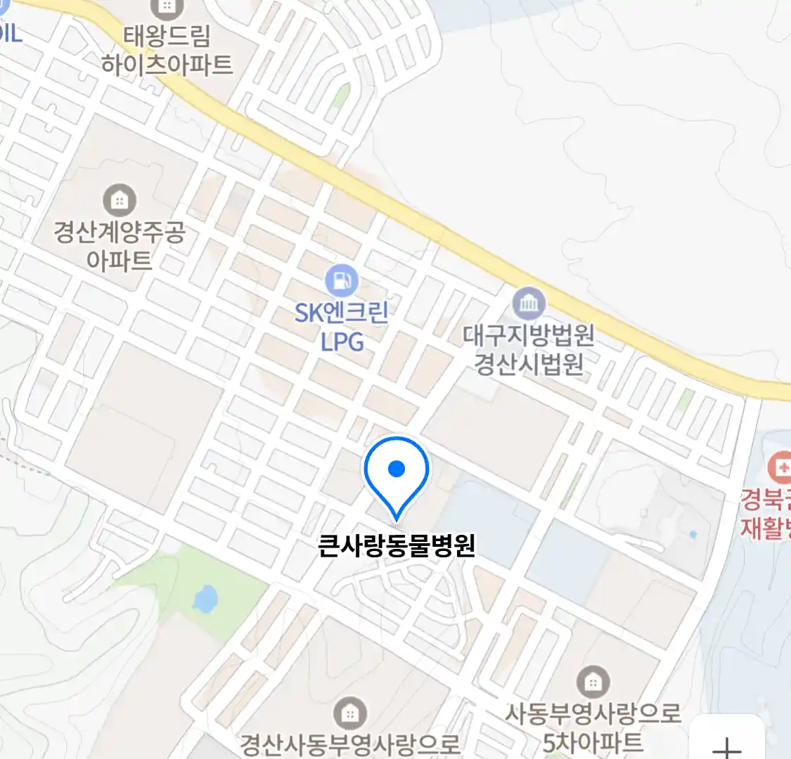 큰사랑동물병원
