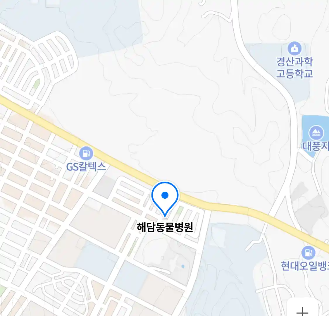 해담동물병원
