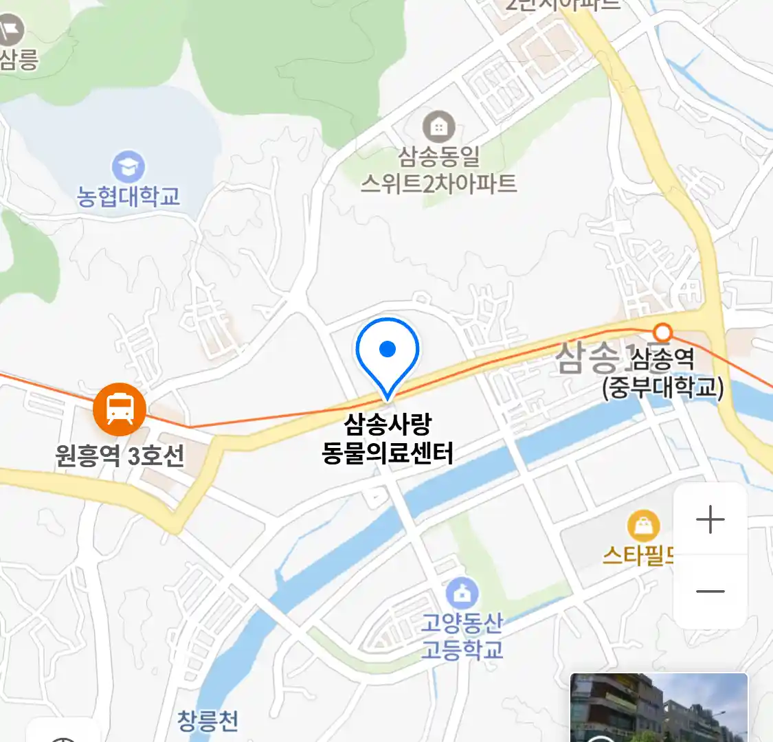 삼송사랑 동물의료센터