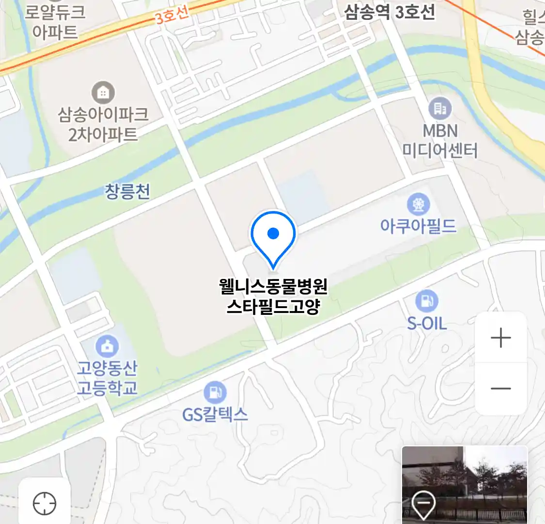 웰니스동물병원 스타필드고양