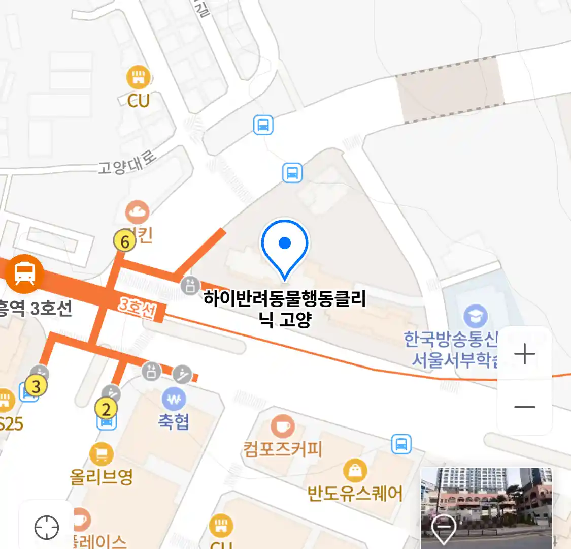 하이반려동물행동클리닉 고양