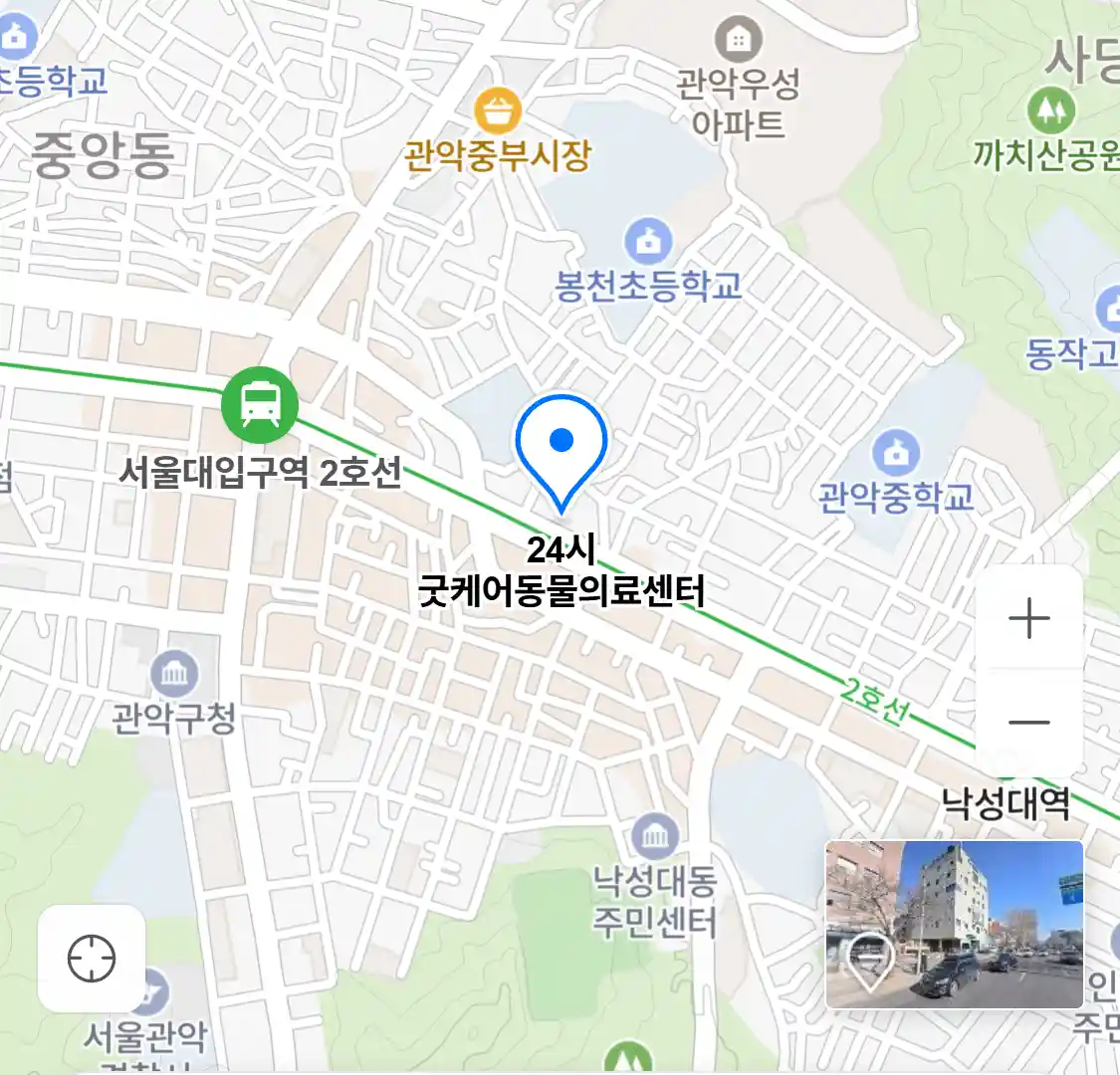 24시 굿케어동물의료센터