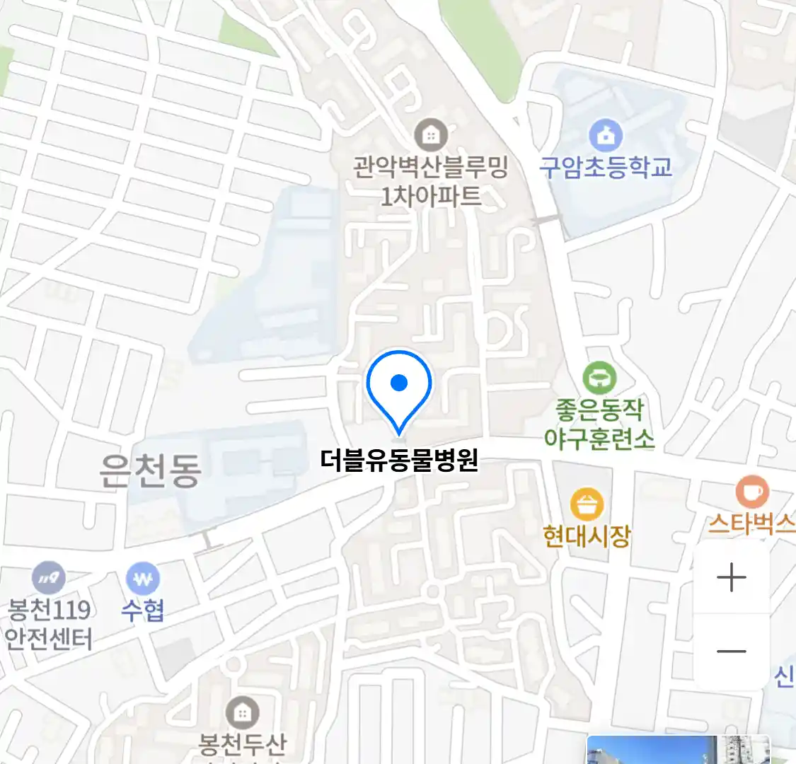 더블유동물병원