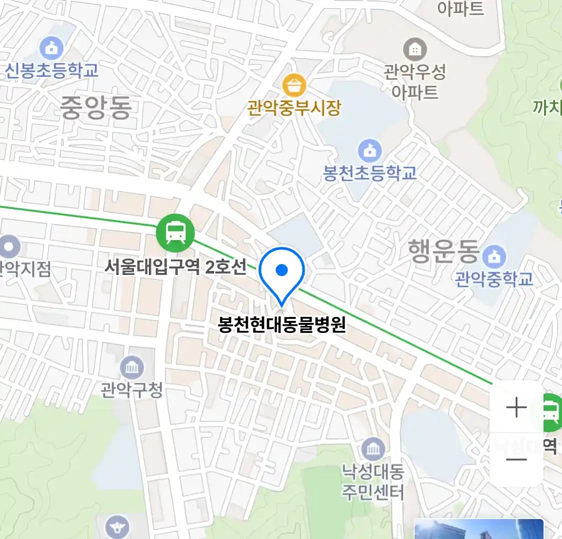 봉천현대동물병원