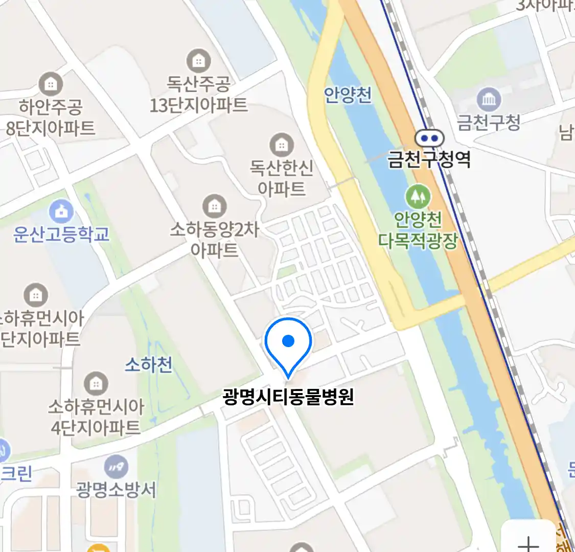 광명시티동물병원