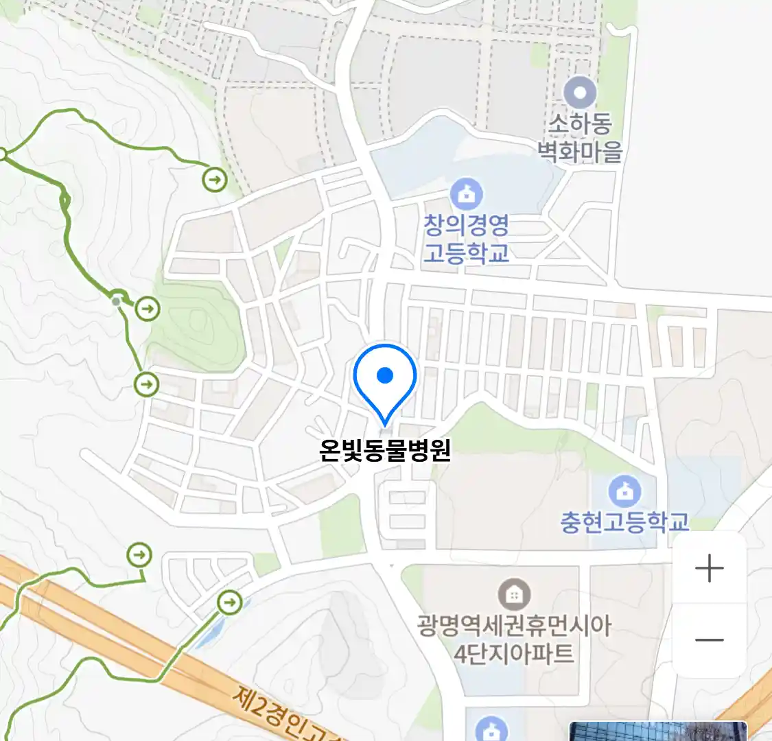 온빛동물병원