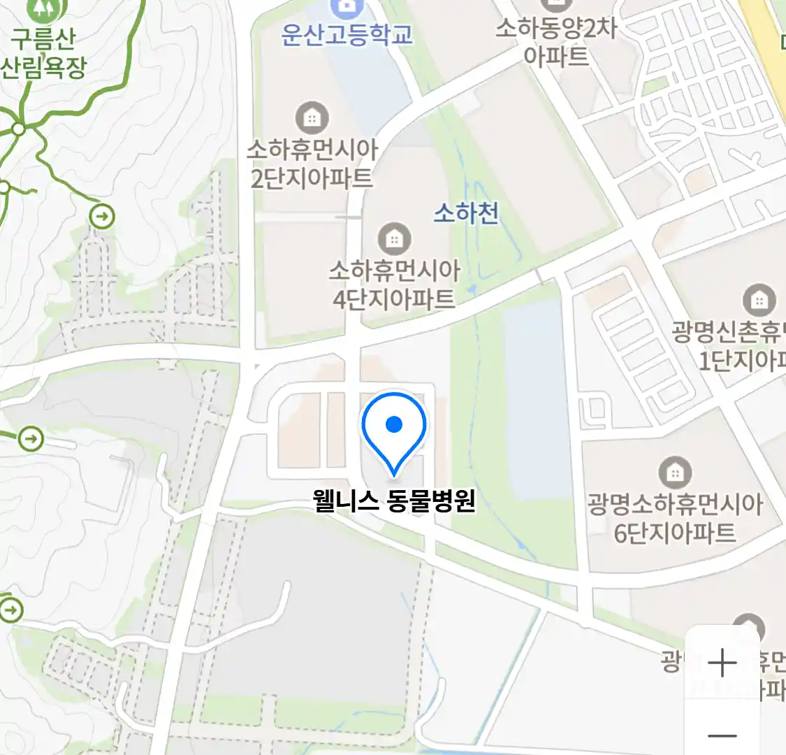 웰니스 동물병원