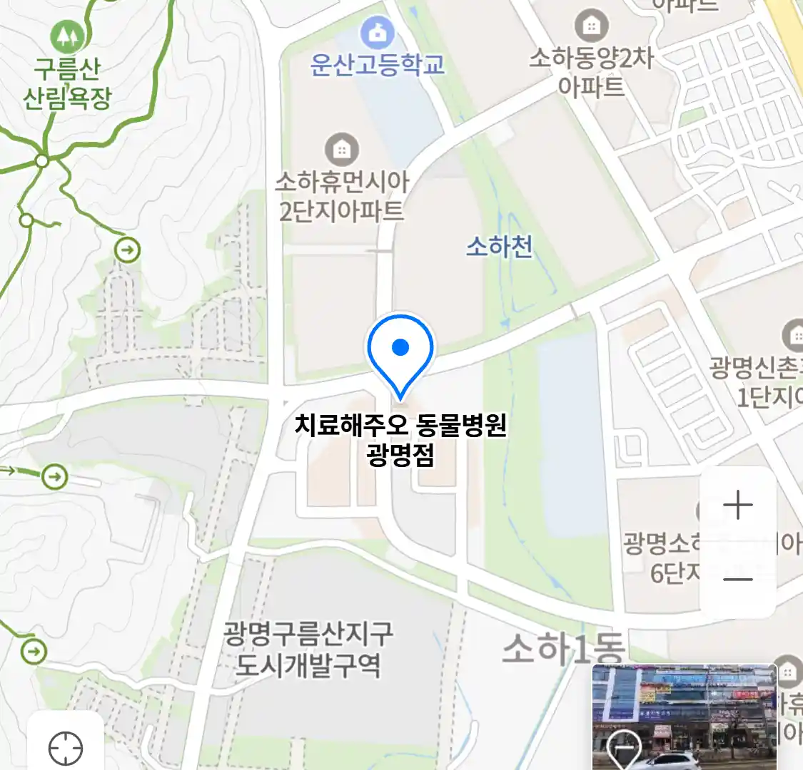 치료해주오 동물병원 광명점