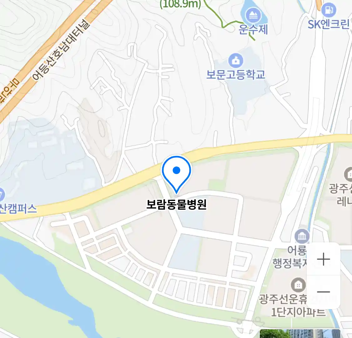 보람동물병원