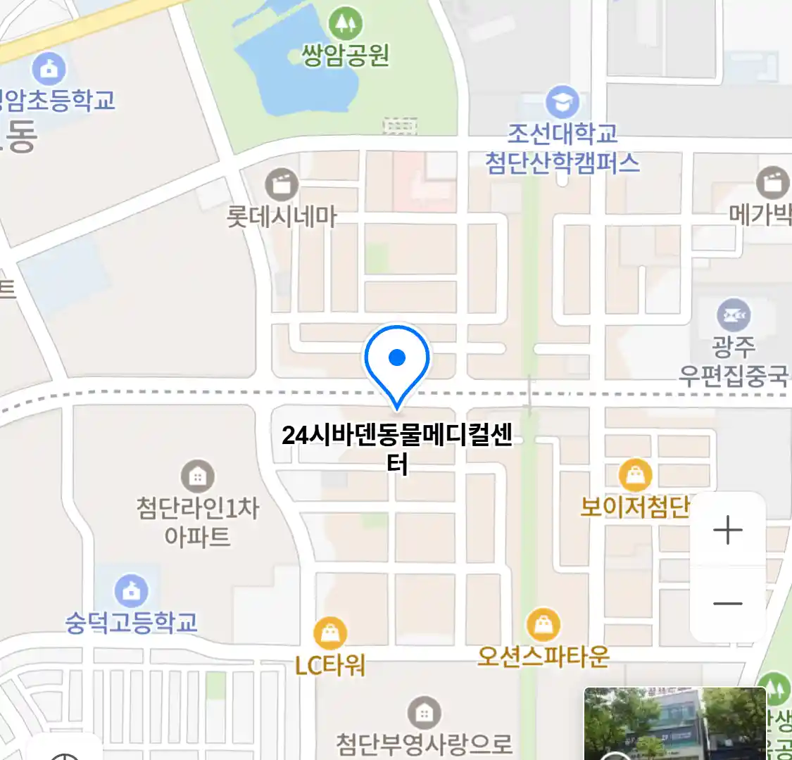 24시바덴동물메디컬센터