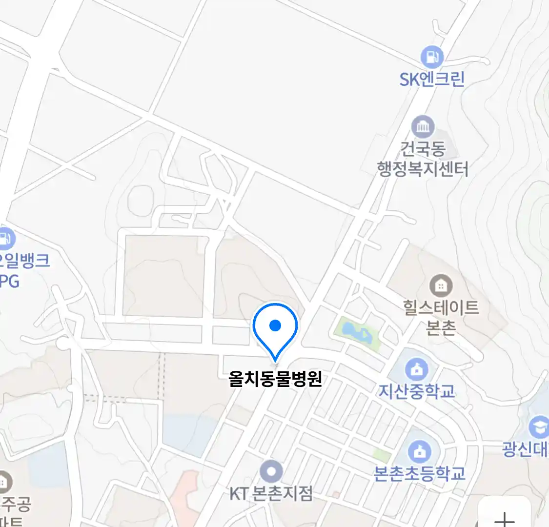 올치동물병원