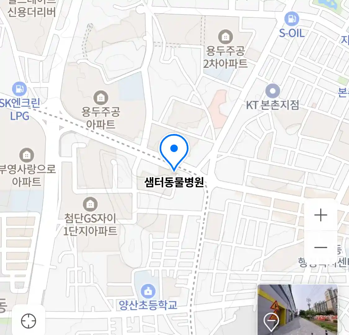 샘터동물병원