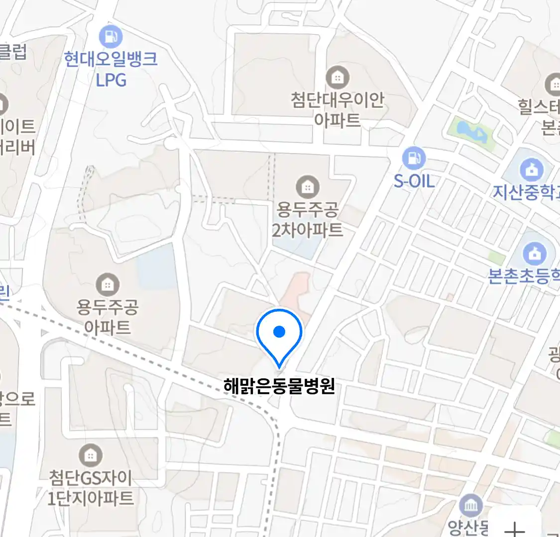 해맑은동물병원
