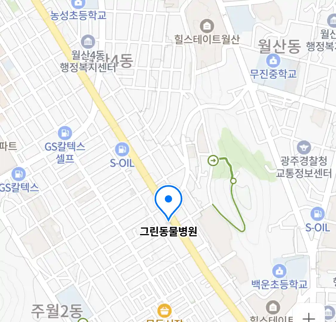 그린동물병원