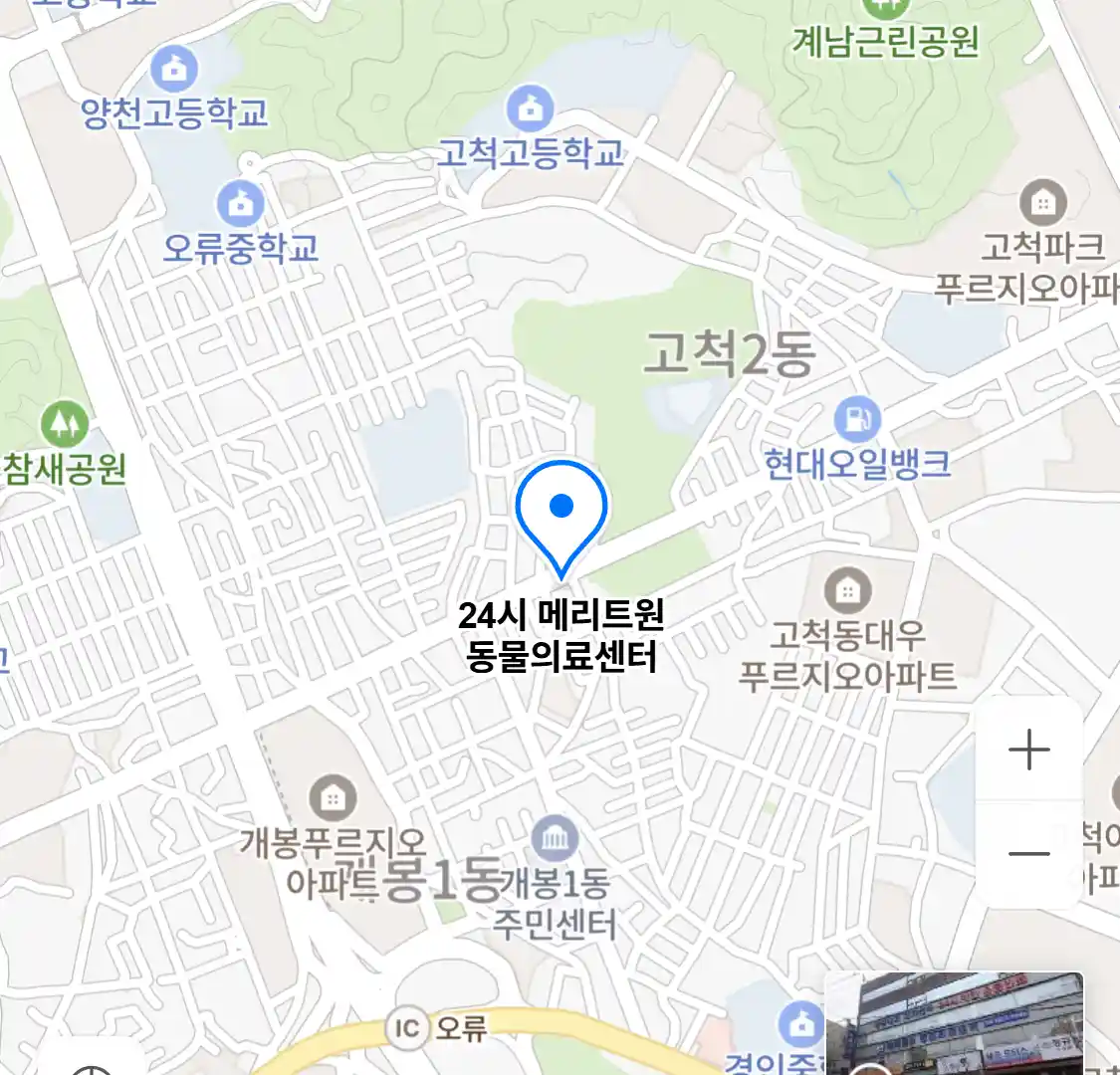 24시 메리트원 동물의료센터