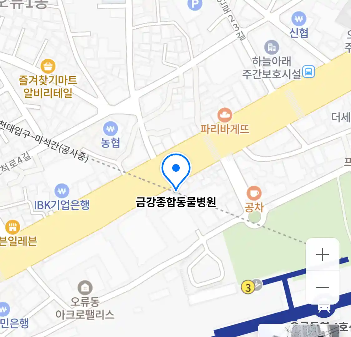 금강종합동물병원