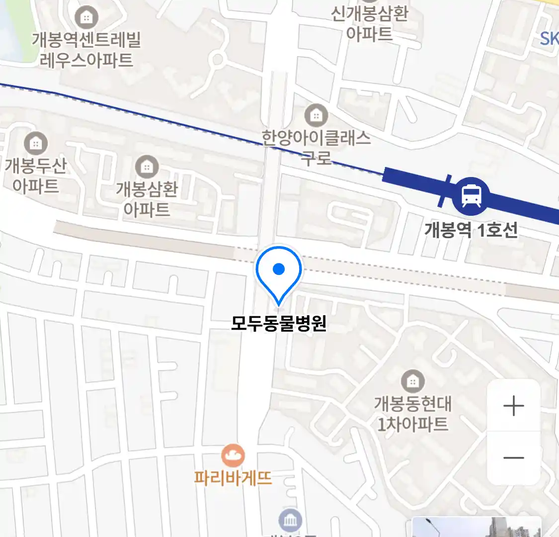 모두동물병원