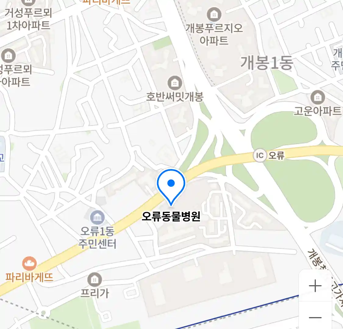 오류동물병원