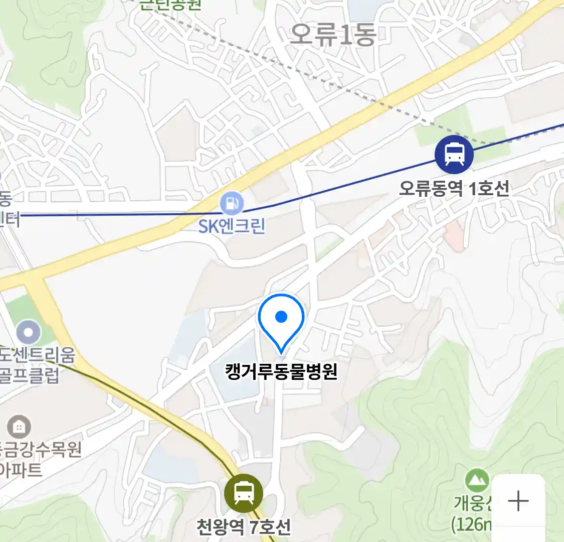 캥거루동물병원