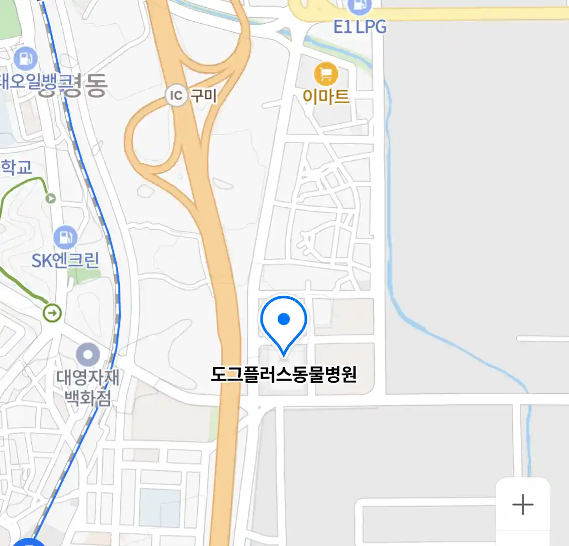 도그플러스동물병원