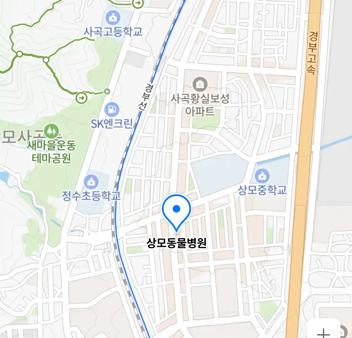 상모동물병원