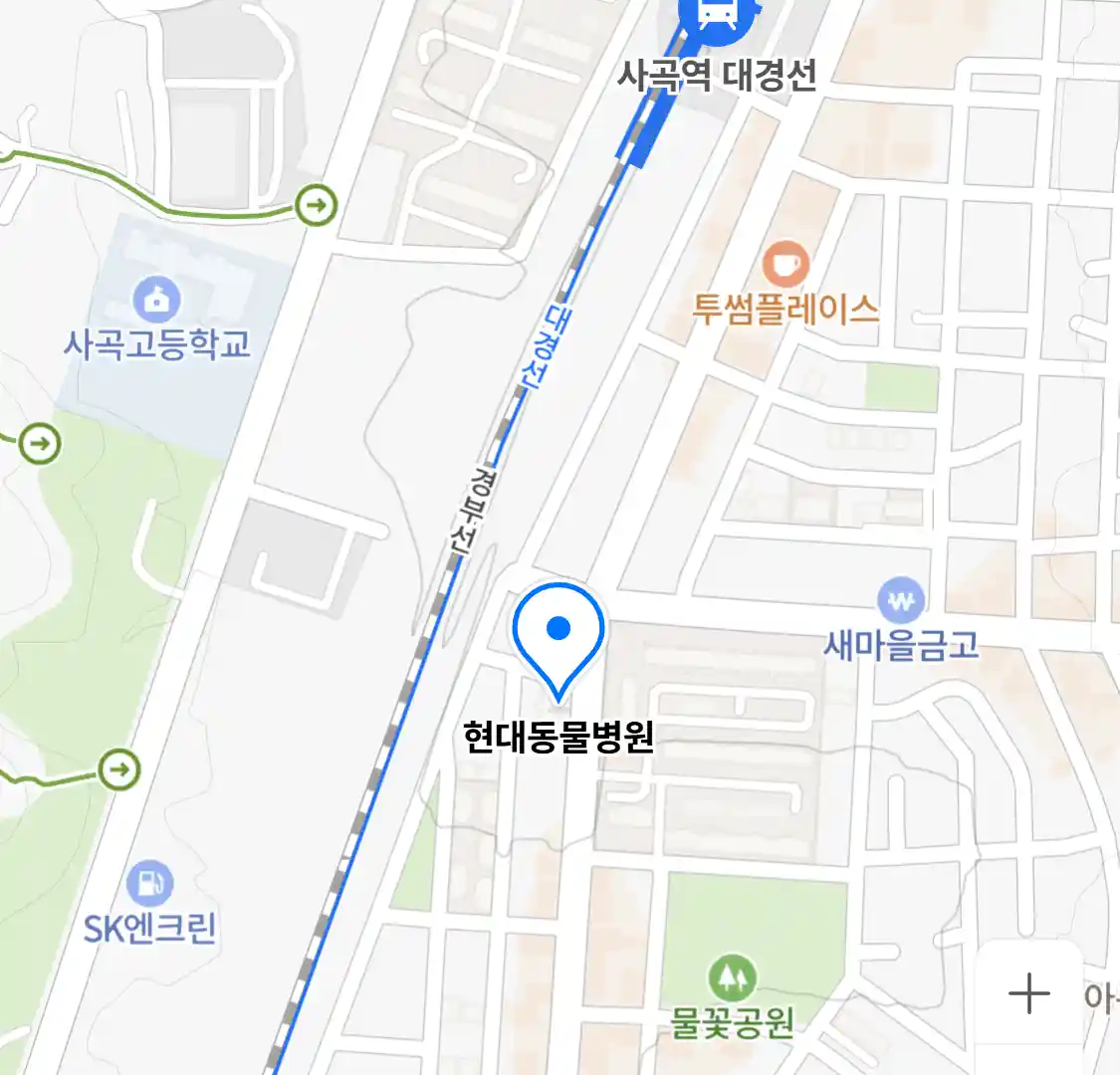 현대동물병원