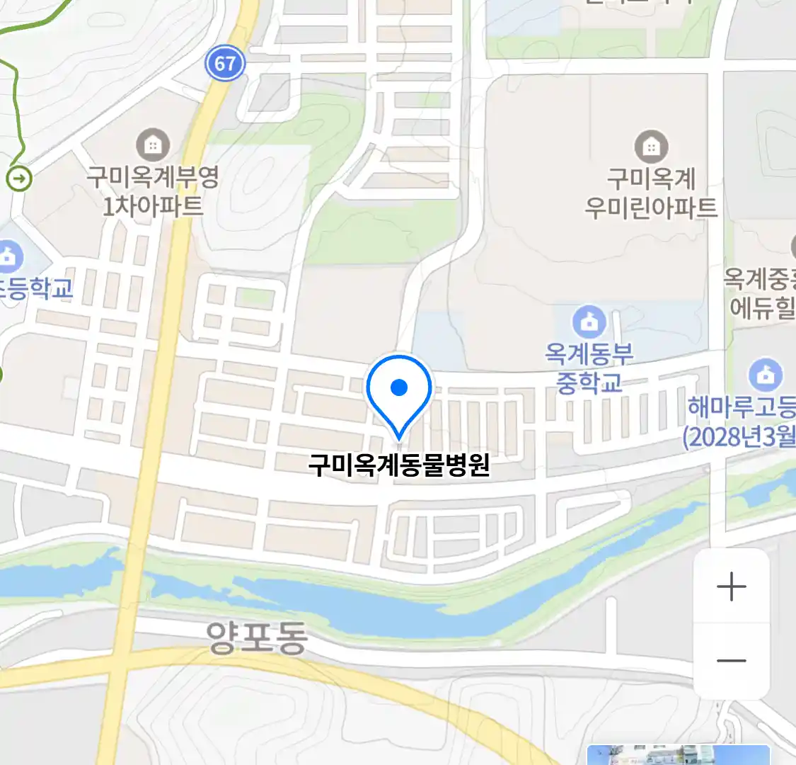 구미옥계동물병원