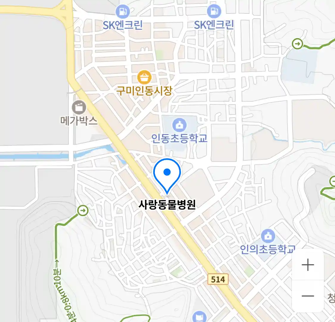 사랑동물병원