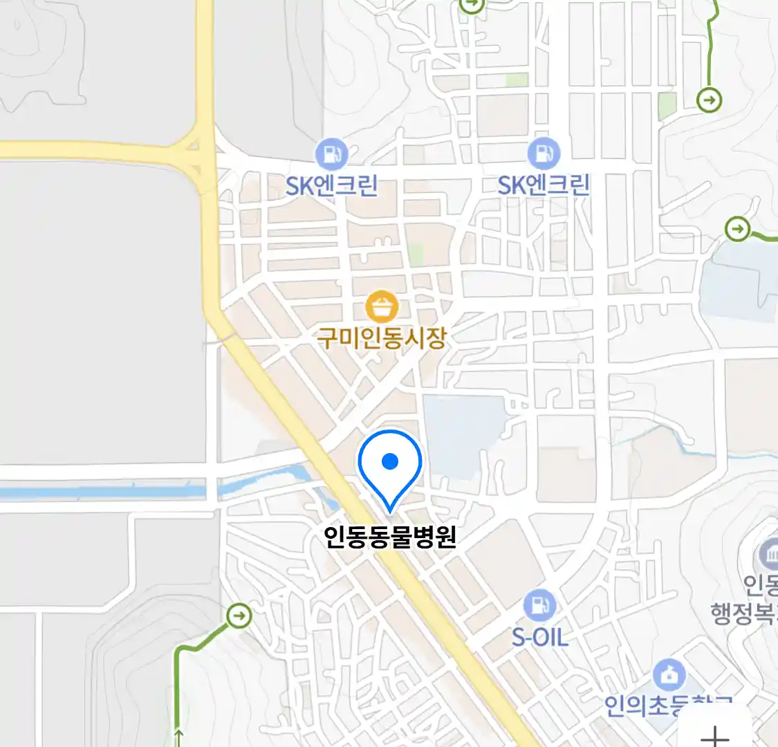 인동동물병원