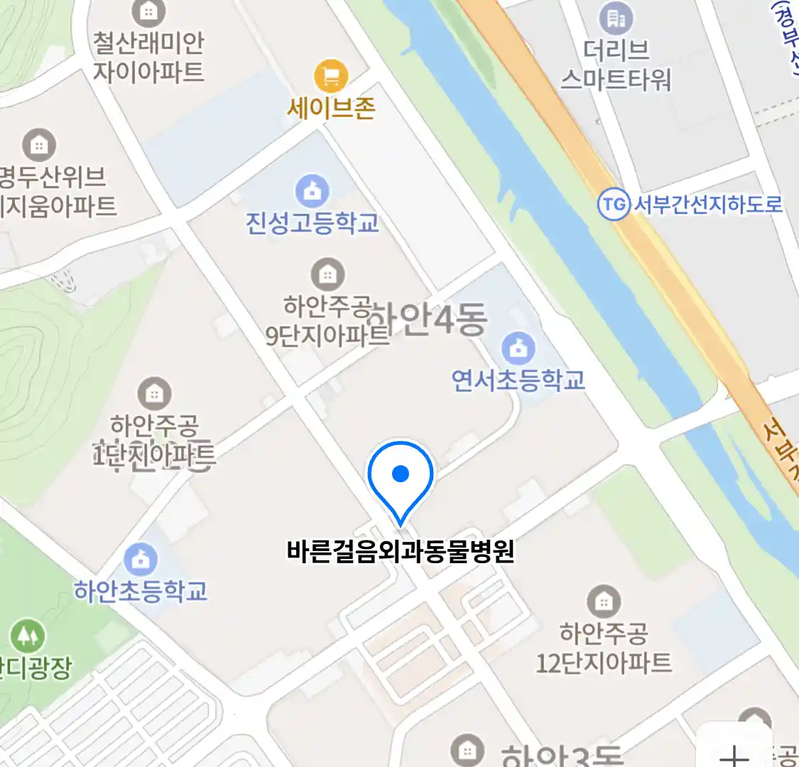 바른걸음외과동물병원