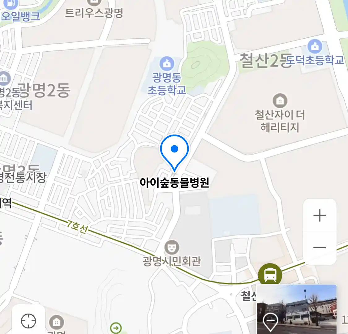 아이숲동물병원