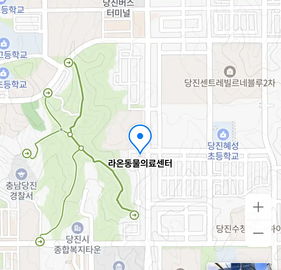 라온동물의료센터