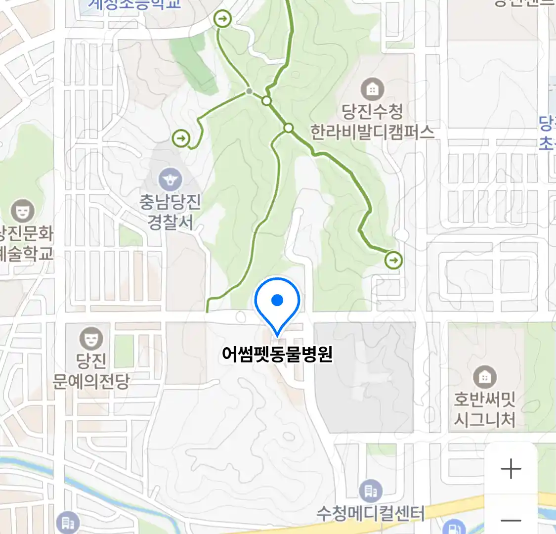 어썸펫동물병원