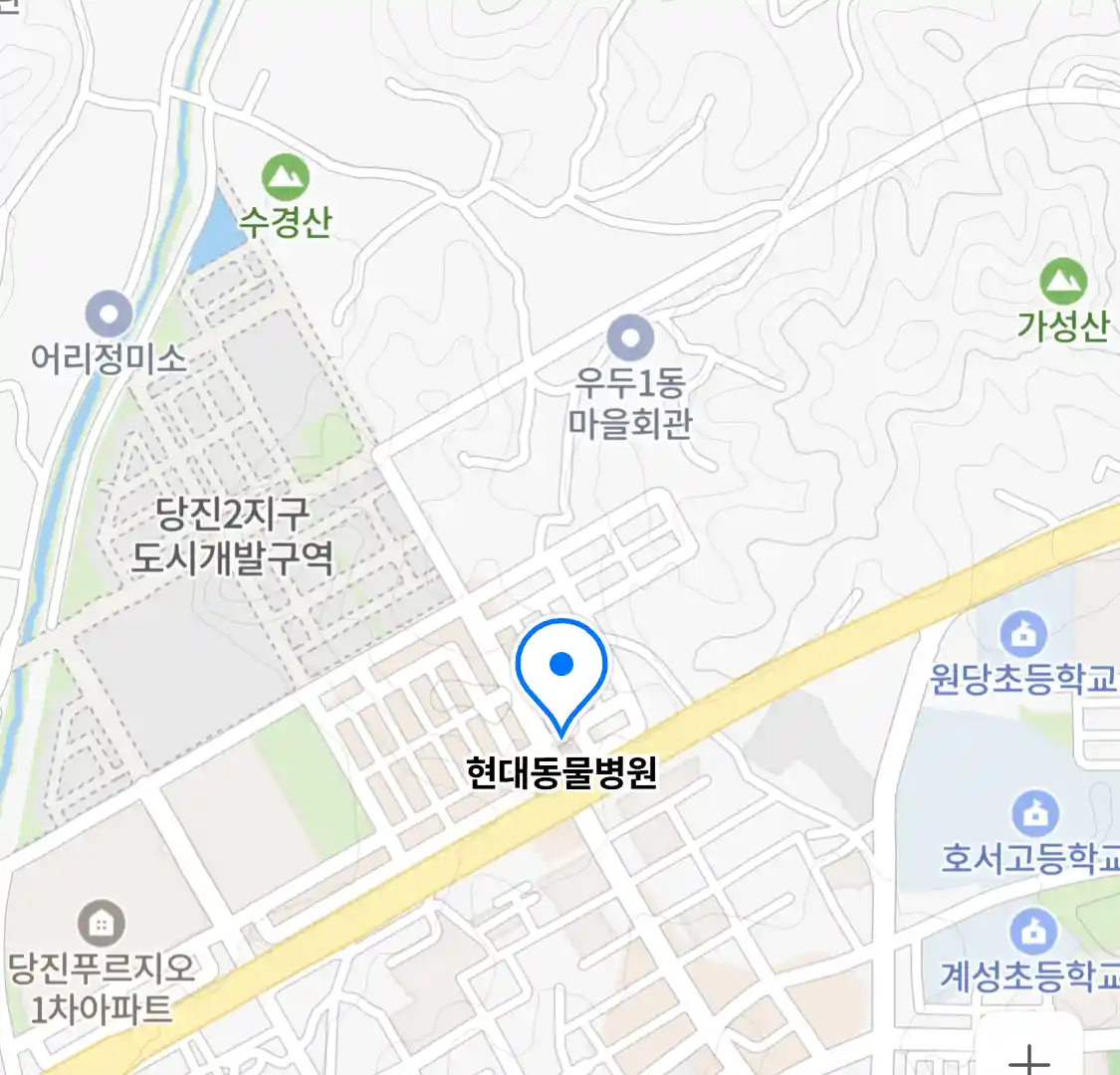 현대동물병원