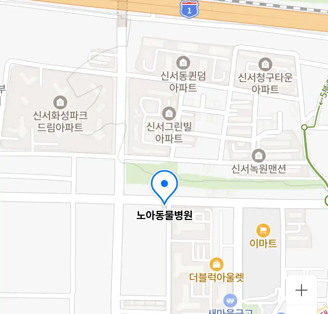 노아동물병원