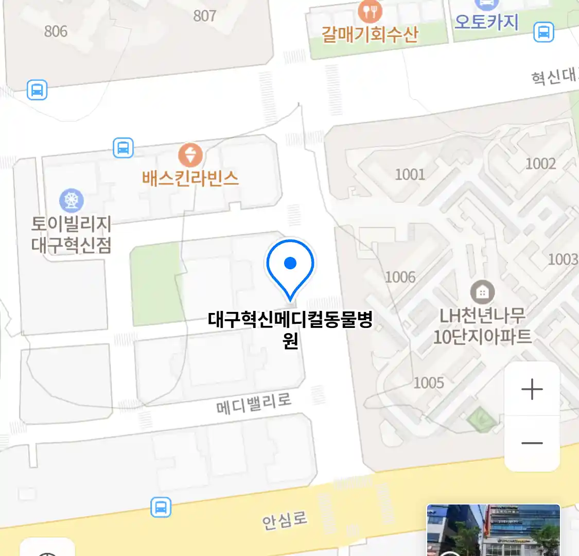 대구혁신메디컬동물병원